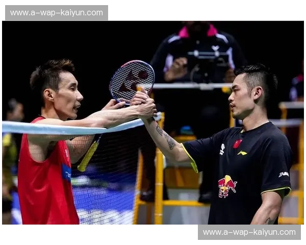 巅峰对决：2013年羽坛的“双雄争霸”——李宗伟与林丹的宿命恩怨